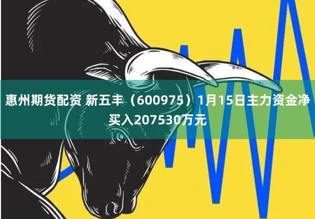 惠州期货配资 新五丰（600975）1月15日主力资金净买入207530万元